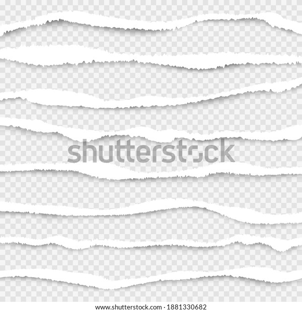 Ripped paper. Cut edges of white paper ripped
lines realistic texture
collection