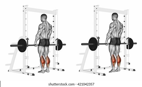Rise on toes with a barbell. 3D illustration