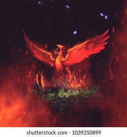 Phoenix Rising From The Ashes Images Stock Photos Vectors Shutterstock