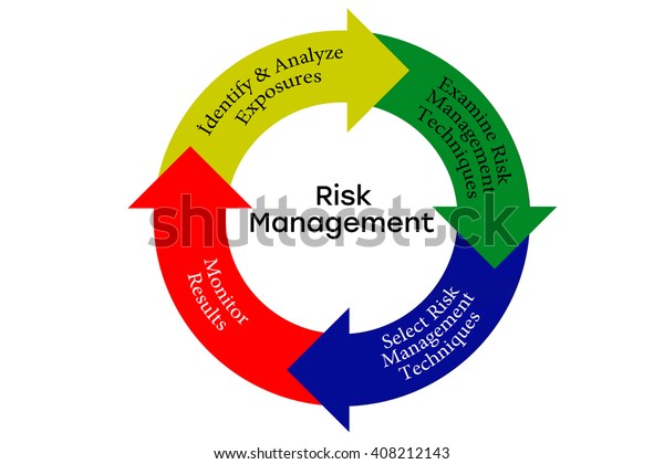 Risk Management Organization Chart