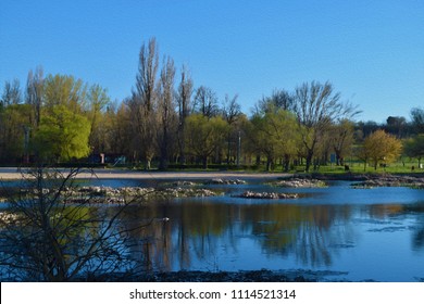 River landscapes with trees.