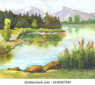 River with reeds, trees reflection watercolor landscape handmade illustration