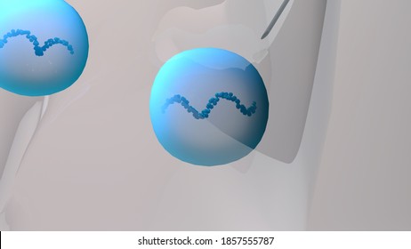 RNA Vaccine New Type Of Vaccine Inserts Fragments Of The Virus RNA Into Human Cells To Reprogram Them To Produce Viral Protein Spikes Then Stimulate And Immune Response. 3d Illustration