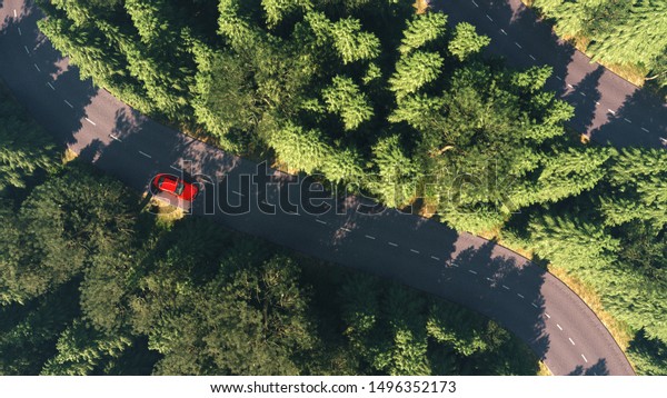 road among the forest, top view, comparison of the\
river arteries 3d\
render