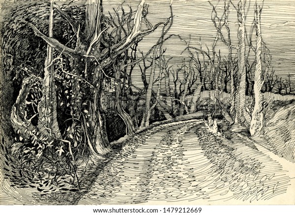 Road Autumn Forest Ink Drawing Stock Illustration