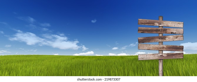 Road Sign In Green Grass On Sky Background 