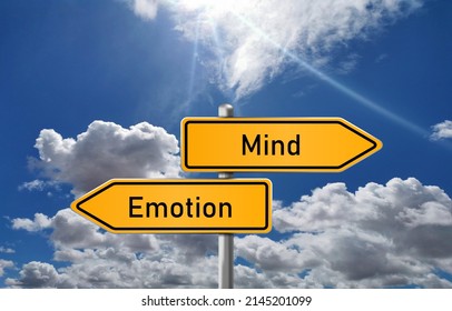 Road sign with two directions mind and emotion with blue sky background, road sign, opposite sign	
