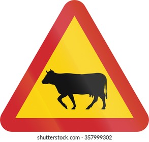 Road sign used in Sweden - Cattle.
