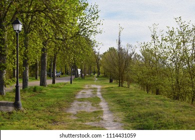 Roads through forests.