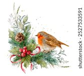 Robin bird. Mistletoe watercolor corner garland with fir cone, green leaves and herbs. Red berries. Christmas decor.	