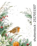 Robin bird. Watercolor Christmas vertical card design with white poinsettia flower, fir branches, holly berry and red ribbon.	