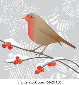 Robin and snowflakes