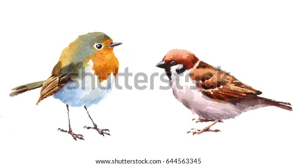 白い背景にロビンとスズメの2鳥の水彩色の手描きのイラストセット のイラスト素材