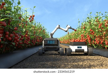 Robot is picking tomatoes in a tomato garden, Agricultural robots work in smart farms, Smart agriculture farming concept. 3D illustration - Powered by Shutterstock