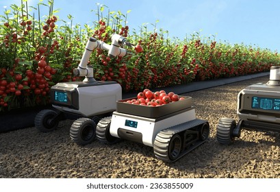 Robot is picking tomatoes in a tomato garden, Agricultural robots work in smart farms, Smart agriculture farming concept. 3D illustration - Powered by Shutterstock