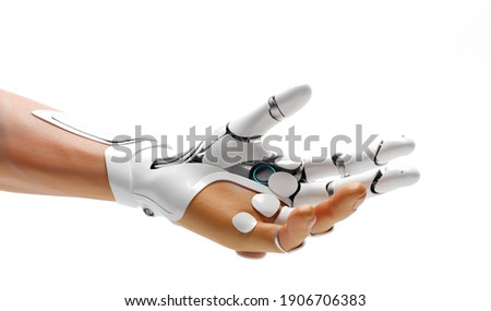 hands Hand Skeleton