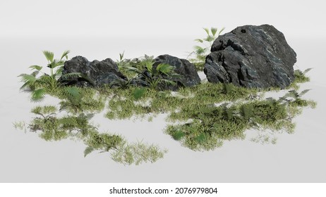 rock with plants growing on the rock pure white background Sunlight studio 3D rendering