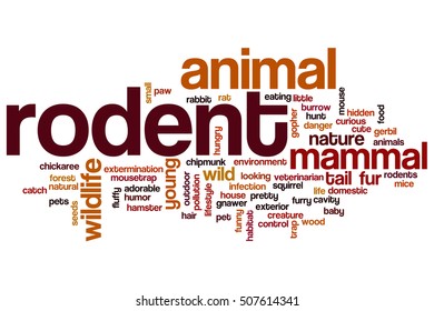 Rodent word cloud concept