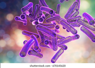 Rod-shaped Bacteria Shigella Which Cause Food-borne Infection Shigellosis Or Dysentery, 3D Illustration