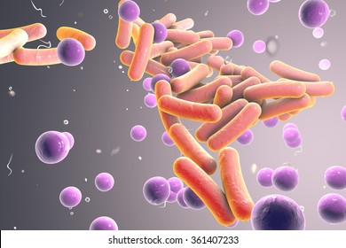 Bacteria Cocci Hd Stock Images Shutterstock