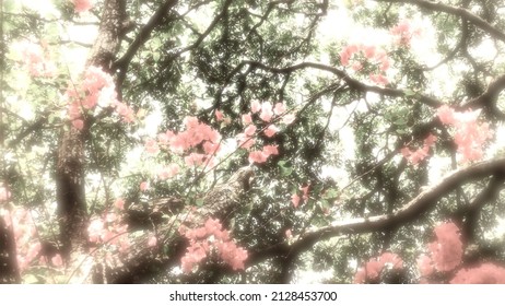 A Romantic Dream - Red Flowers In Foreground, Green Leaves In Middle Ground, Foliage In Background