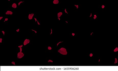 Romantic flying red rose petals. God for St. Valentine's Day, Mother's Day, wedding or etc. 3d rendering.