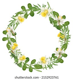 Romantic watercolor spring wreath with daffodils for party invitations, Easter greeting cards, round frame with yellow flowers