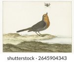 Roodborstje (1658 - 1726) by Johannes Bronkhorst. Vintage bird illustration. Vintage painting of bird, animal art.