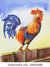 Rooster (cock), symbol of the year according to the Chinese calendar. Colorful, sitting on a fence and screaming cock-a-doodle-doo in the morning. Hand-drawn watercolor design for posters, postcards