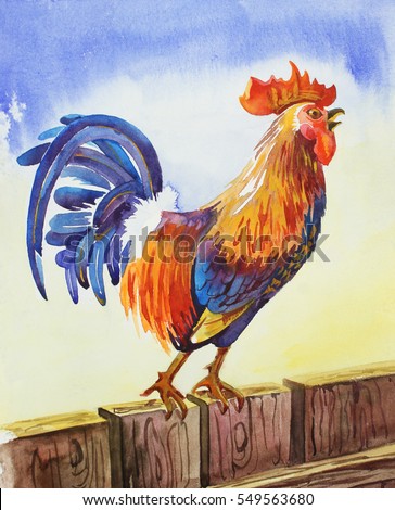 Rooster (cock), symbol of the year according to the Chinese calendar. Colorful, sitting on a fence and screaming cock-a-doodle-doo in the morning. Hand-drawn watercolor design for posters, postcards