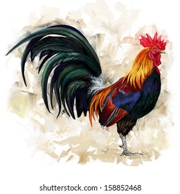 rooster digital painting / rooster cock