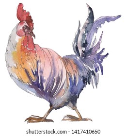 305 Watercolour Rooster Images, Stock Photos & Vectors | Shutterstock