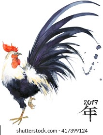 Rooster. Watercolor Illustration. 