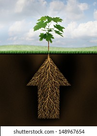 Root of success as a growth business concept with a new sprouting tree emerging from underground roots shaped as an arrow that is going up as a financial symbol of future investment potential.