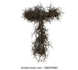 970 Tree root font Images, Stock Photos & Vectors | Shutterstock