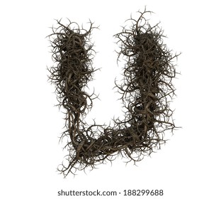 970 Tree root font Images, Stock Photos & Vectors | Shutterstock