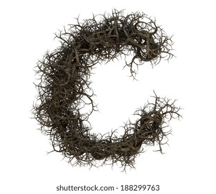 970 Tree root font Images, Stock Photos & Vectors | Shutterstock