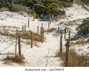 Rope fencing along sandy nature trail marks areas of vulnerable dunes off limits to visitors at Grayton Beach State Park in Santa Rosa Beach, Florida, USA. Digital oil-painting effect, 3D rendering.