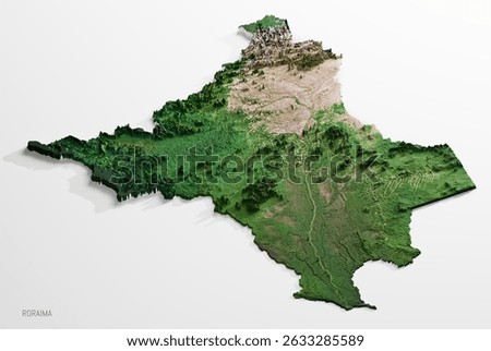 Roraima Isometric Perspective 3D Relief Satellite Image Relief Map