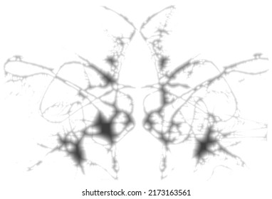 Rorschach Inkblot Test. Symmetrical Abstract Shadow Stains. Psycho Diagnostic For Silhouette Spot. Overlay Texture. Isolated On White Background