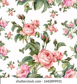 Rose Beautiful Petals On White Background Stock Illustration 1442899931 ...