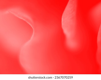 Rose Close Up Background Design