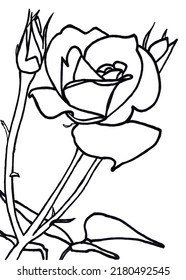 Rose Coloring Page Adult Stock Illustration 2180492545 | Shutterstock