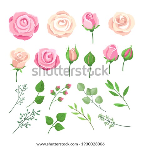 Similar – Image, Stock Photo romantic roses rose petals
