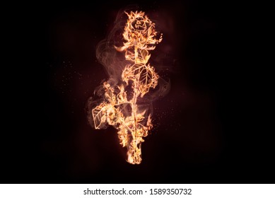 Rose in flames/burning rose on fire is on the black background. Happy Valentine's Day - Powered by Shutterstock