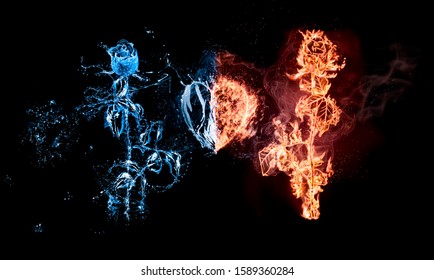 Rose in flames/rose burning on fire is on the one side and wet rose in light blue water with water drops is on the second side. Between the roses is heart made of water and fire. Happy Valentine's Day - Powered by Shutterstock