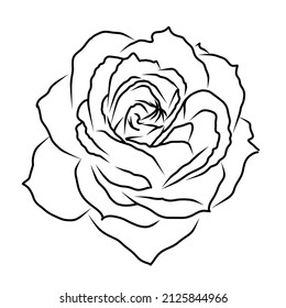 Rose Flower Illustration Line Art White Stock Illustration 2125844966 ...