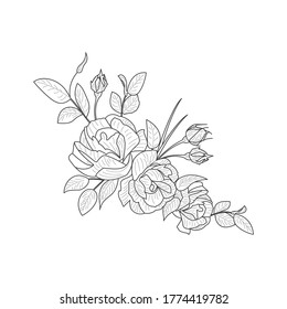 Vintage Flower Vector Card Drawing Peony Stock Vector (Royalty Free ...