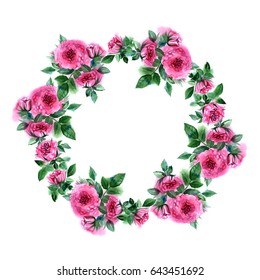 Rose Flower Wreath. Floral Circle Border. Watercolor Frame