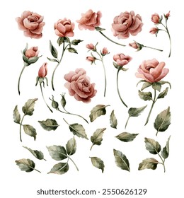 Rose flowers with buds and leaves. Dusty pink garden flowers set. Watercolor hand painted floral isolated illustration for wedding design, home textile, porcelain crockery, cosmetic package, cards - Powered by Shutterstock